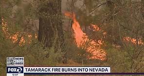 Tamarack Fire spreads into Nevada from California
