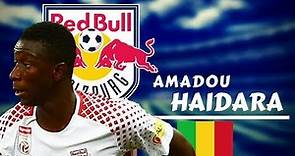 AMADOU HAIDARA - Fantastic Goals, Assists, Passes & Skills - 2018 ● 4K