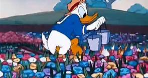 Donald Duck - Bee On Guard  (1951)