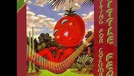 Little Feat- Time Loves a Hero