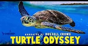 Turtle Odyssey - Official Trailer