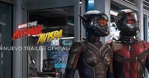 Ant-Man y la Avispa de Marvel | Nuevo Tráiler Oficial en español | HD