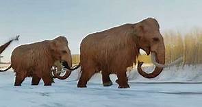 Discover the Untold Secrets: 20 Astonishing Mammoth Facts You Need to Know
