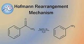 Hofmann Rearrangement Example Mechanism | Organic Chemistry