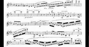 Saint-Saëns, Camille violin concerto no.3 mvt1