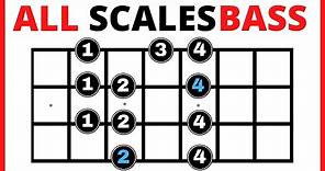 ✅ Bass Guitar Scales for Beginners 💥【All You Need to Know】✅ Bass Scales Patterns