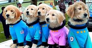 Space Buddies: Cachorros en el espacio (Trailer español)