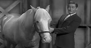 Mister Ed Season 1 Episode 1 (1961) The First Meeting