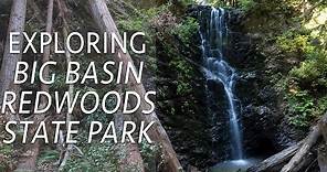 Big Basin Redwoods State Park Hikes: Berry Creek Falls & Redwoods Trail