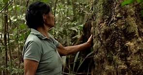 El Paraíso del diablo: las atrocidades del “holocausto del caucho” en la Amazonía de Colombia