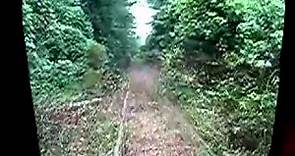 In forest with train