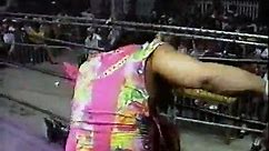 Jerry Lawler vs Randy Savage (Cage Match) (JIP) (USWA 04.19.1993)
