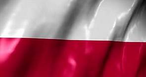 Bandera Ondeando de Polonia