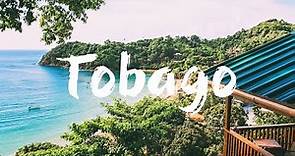 TOBAGO : TOP 10 THINGS to See & Do | Travel Guide