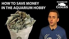 How to Save Money in the Aquarium Hobby