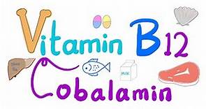 Vitamin B12 (Cobalamin) 🐚 🥩 🐠 | Most Comprehensive Explanation