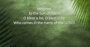 Hosanna, Son of David