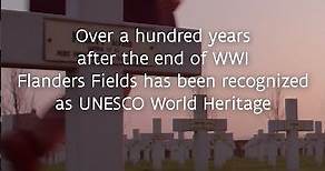 Flanders' World War I Sites Earn UNESCO Heritage Status #shorts