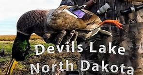 North Dakota Duck Hunting
