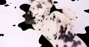 102 Dalmatians (Official Teaser Trailer) [#2]