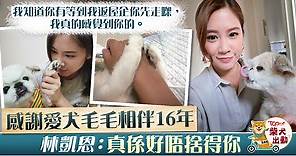 【開心速遞】林凱恩感謝愛犬毛毛相伴16載　Iris痛別：最引以為傲的毛毛 - 香港經濟日報 - TOPick - 娛樂