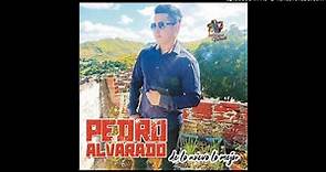 Pedro Alvarado - Si Me Alcanza La Vida | Vallenatos Románticos 2021