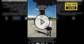 Sheltered Life (2008) фильм скачать торрент в хорошем качестве