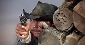Stranger On The Run (1967) (1080p)🌻 Westerns