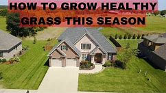 How To Grow Healthy Grass This Season