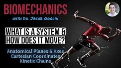 Biomechanics: What is a System & How Does It Move? Part 1