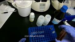 全血总RNA提取实验(1).mov