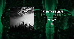 AFTER THE BURIAL - In Flux