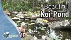 Beautiful Koi Pond