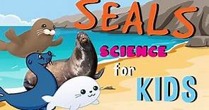 Seals | Science for Kids