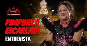 Historia de Pimpinela Escarlata | Lucha Libre AAA Worldwide