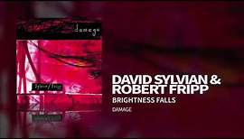 Sylvian / Fripp - Brightness Falls (Damage)
