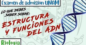 Estructura y funciones del ADN || Biología UNAM