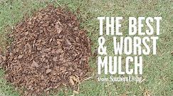The Best and Worst Mulch for Your Garden | Southern Living