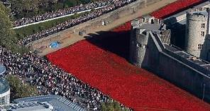 Over 4 million visit poppy exhibition at Tower of London
