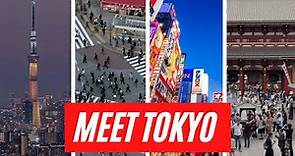 Tokyo Overview | An informative introduction to the world's LARGEST city