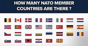 How many NATO member countries are there?