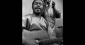 sonny terry and brownie mcghee - John Henry