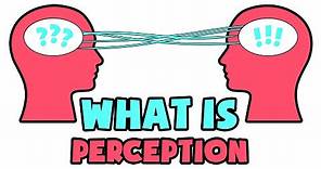 What is Perception | Explained in 2 min