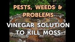 Vinegar Solution to Kill Moss