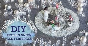 DIY Winter Wonderland: 2 Frozen Snow Centerpieces | BalsaCircle.com