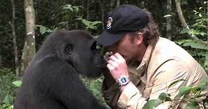 Damian Aspinall's reunion with wild gorilla, Kwibi [FULL VERSION]