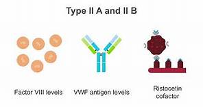 Interpreting tests for von Willebrand disease (VWD)