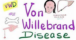 Von Willebrand Disease (VWD) | The Most COMPREHENSIVE Explanation!