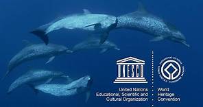 UNESCO’s Marine World Heritage