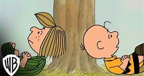 A Charlie Brown Valentine | Valentine's Day Questions | Warner Bros. Entertainment